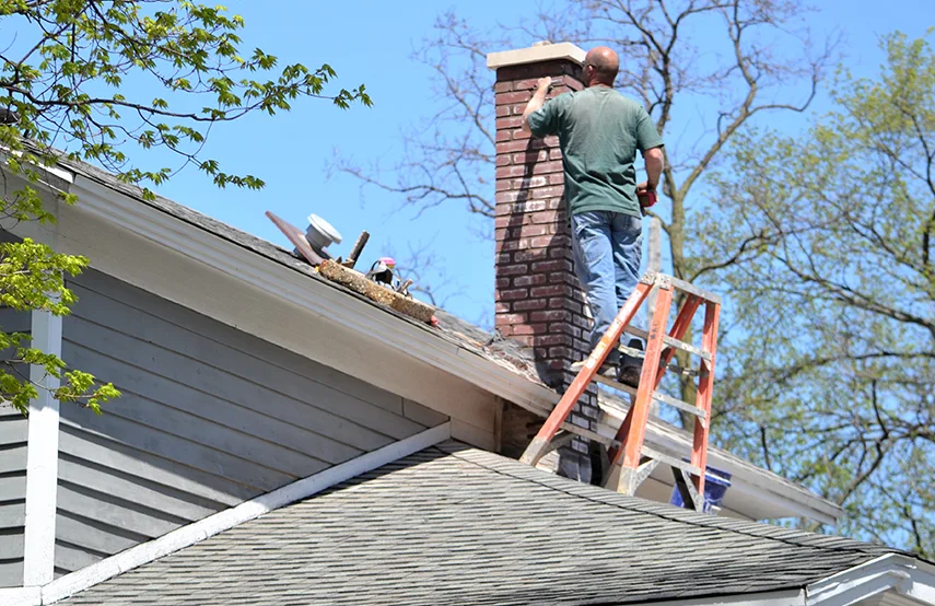 Chimney & Fireplace Inspections Services in Bel Air South, MD